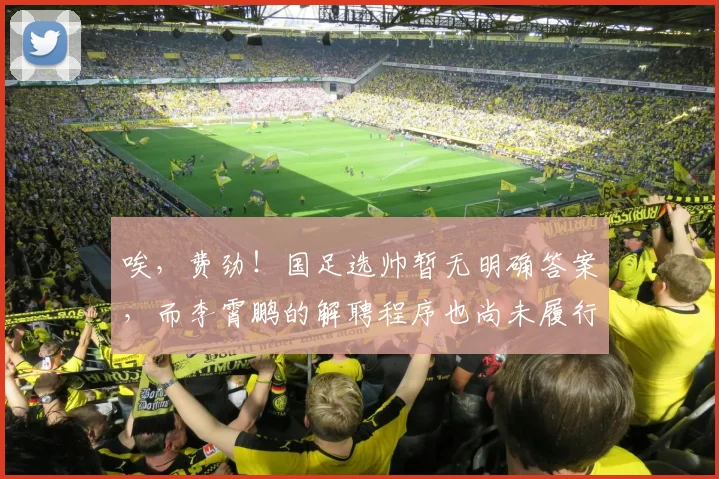 唉，费劲！国足选帅暂无明确答案，而李霄鹏的解聘程序也尚未履行