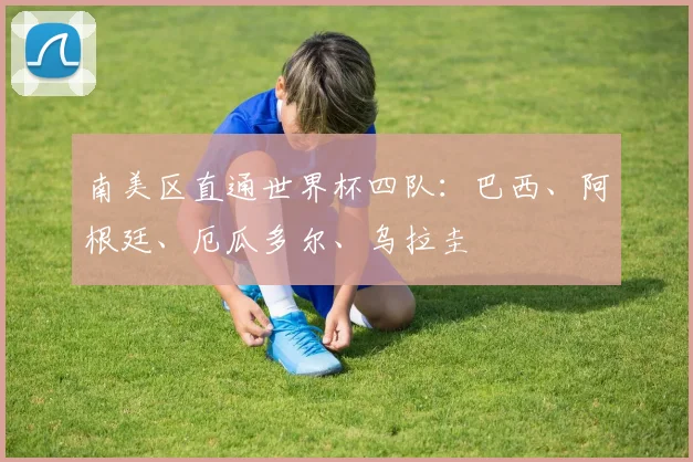 南美区直通世界杯四队：巴西、阿根廷、厄瓜多尔、乌拉圭