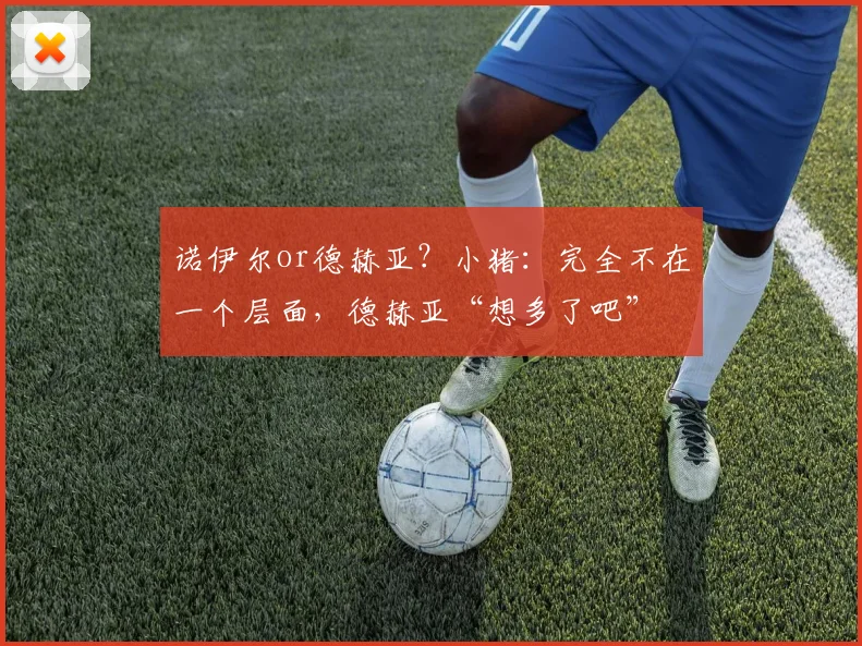 诺伊尔or德赫亚？小猪：完全不在一个层面，德赫亚“想多了吧”
