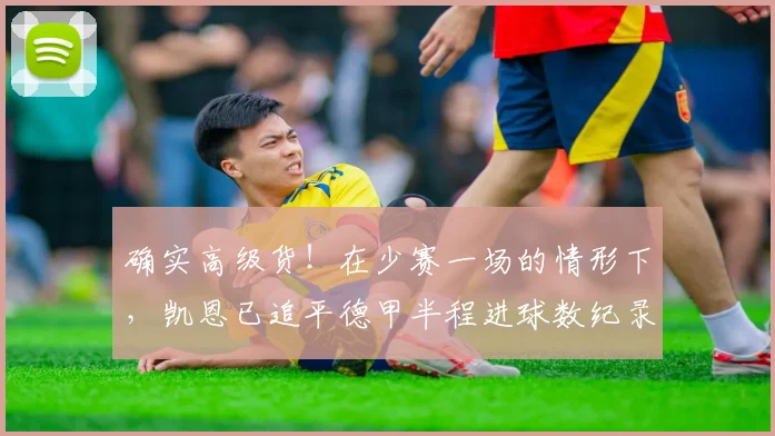 确实高级货！在少赛一场的情形下，凯恩已追平德甲半程进球数纪录